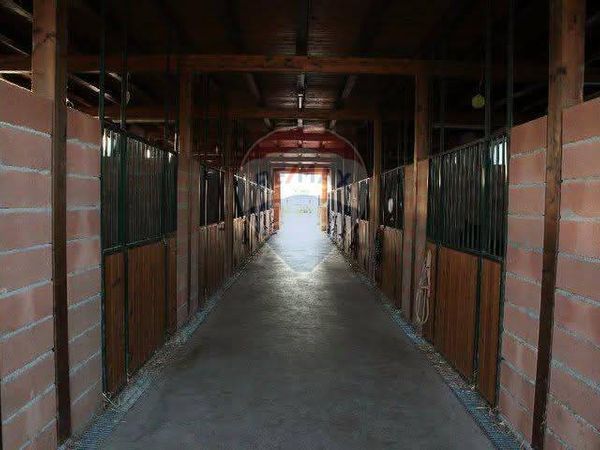 Villa singola Grammichele, CT Vendita - Foto 4