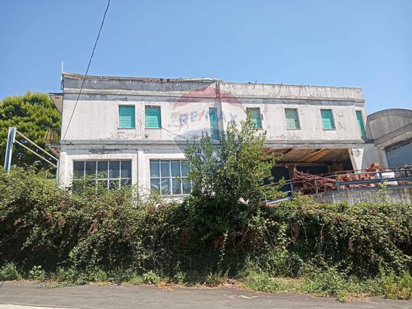 Capannone Industriale Pinocchio, Ancona, AN Vendita - Foto 2