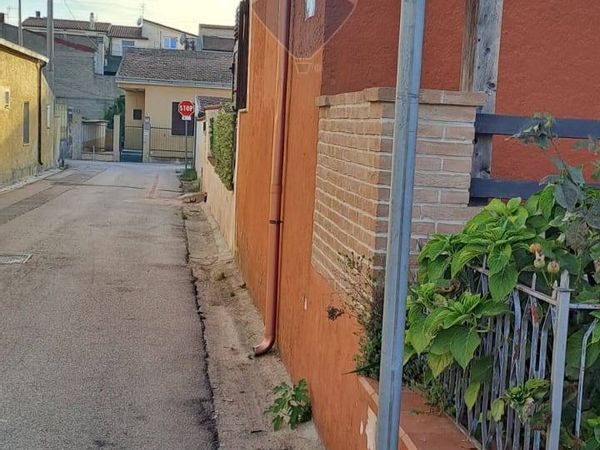 Casa Indipendente Cellole, CE Vendita - Foto 2