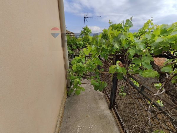 Casa Indipendente Monforte San Giorgio, ME Vendita - Foto 2