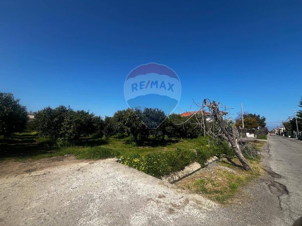 Terreno Corigliano-Rossano, CS Vendita - Foto 4