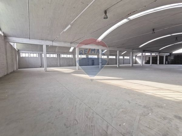 Capannone Industriale Vigliano Biellese, BI Affitto