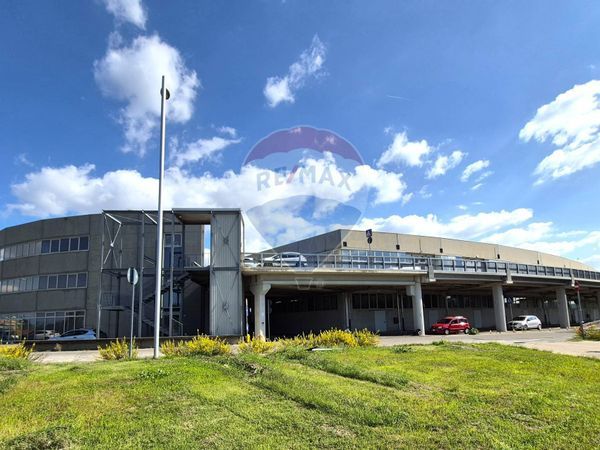 Commerciale Altro Casellina, Scandicci, FI Vendita