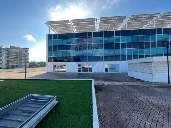 Ufficio Japigia, Bari, BA Affitto - Foto 4