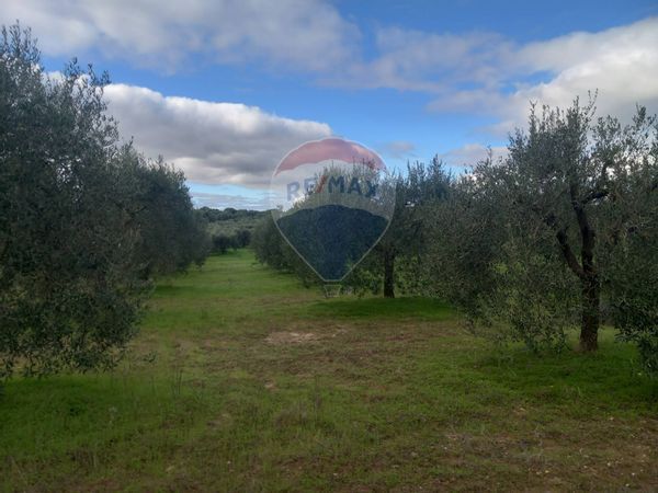 Terreno Dolianova, SU Vendita - Foto 4