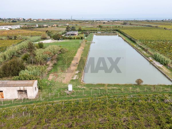 Locale Commerciale Casalbordino Stazione, Casalbordino, CH Vendita - Foto 4