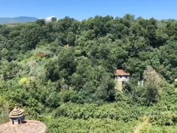 Casa Semindipendente Vignanello, VT Vendita - Foto 3