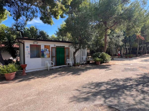 Residence Vieste, FG Vendita - Foto 2