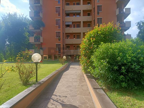 Appartamento San Fruttuoso, Monza, MB Affitto