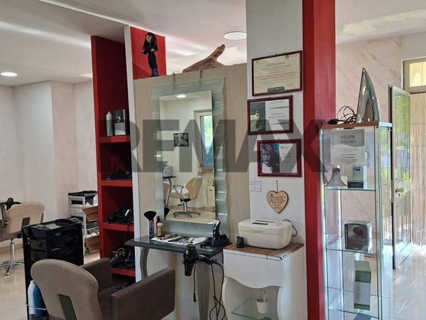 Attività  Commerciale Piedimonte San Germano, FR Vendita