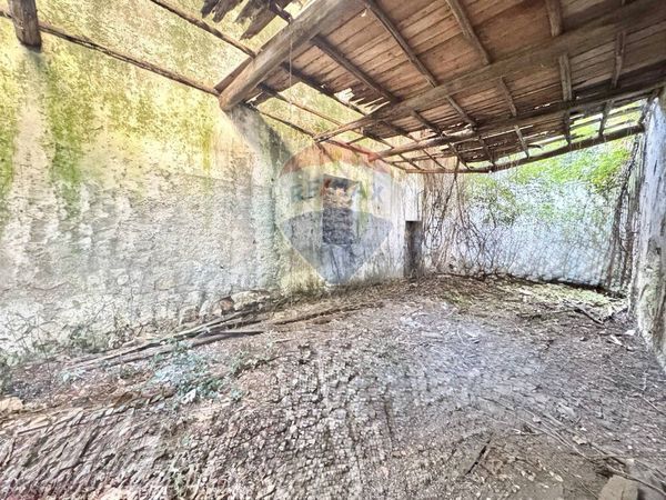 Rustico Manziana, RM Vendita - Foto 4