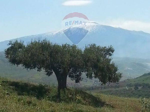 Altro Troina, EN Vendita