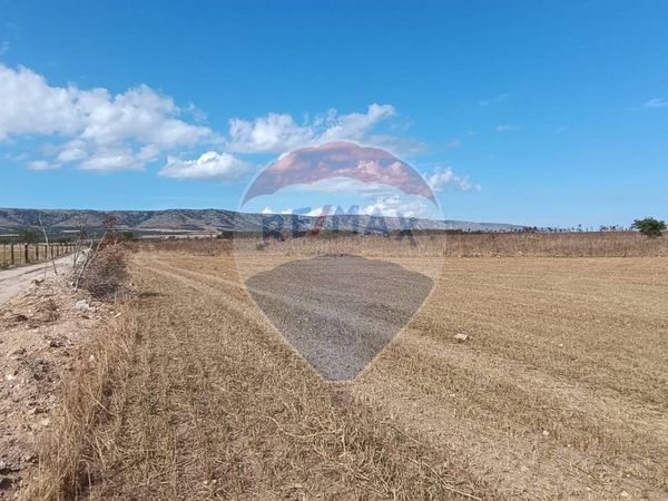 Terreno San Giovanni Rotondo, FG Vendita - Foto 4