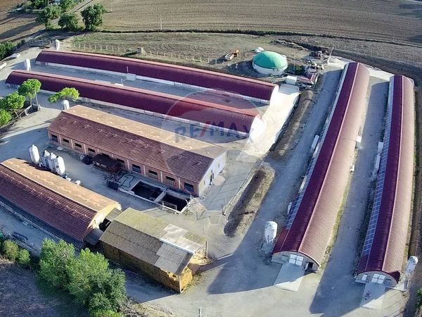 Azienda Agricola Agello, Magione, PG Vendita - Foto 4