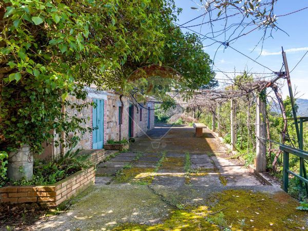 Villa singola Finale, Pollina, PA Vendita - Foto 2