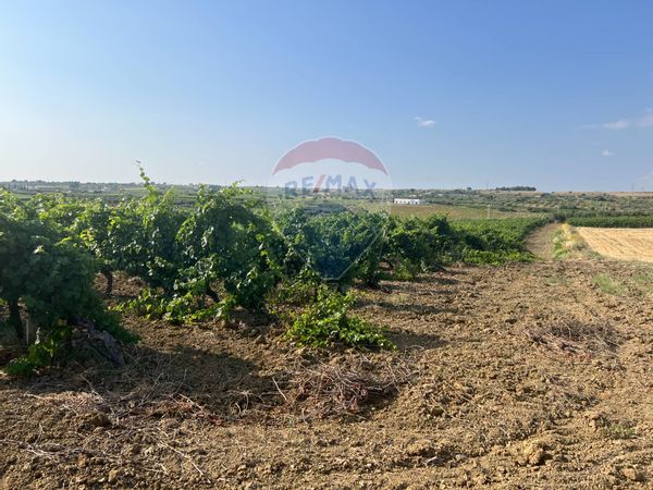 Terreno Edificabile Menfi, AG Vendita - Foto 3