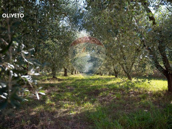 Villetta bifamiliare Ribolla, Roccastrada, GR Vendita - Foto 3