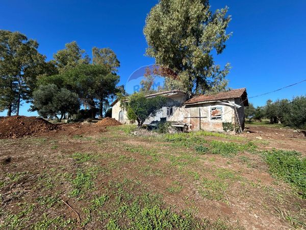 Cascina/Casale Velletri, RM Vendita - Foto 2