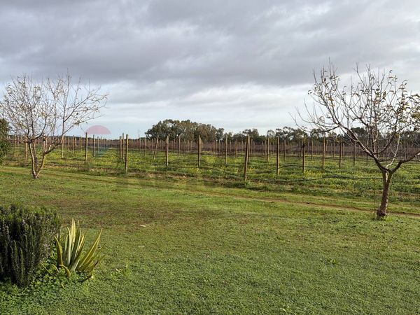 Casa Indipendente Periferia, Sassari, SS Vendita - Foto 3
