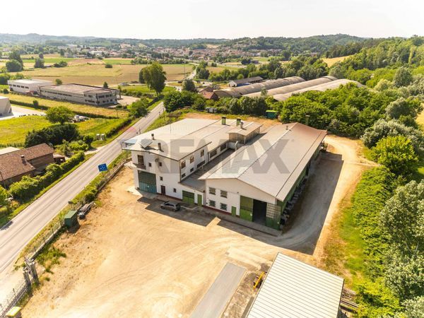 Capannone Industriale Baldichieri d'Asti, AT Vendita - Foto 4