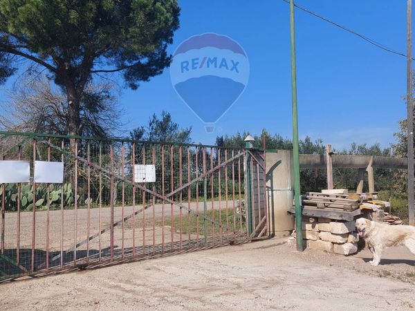 Terreno Metaponto, Bernalda, MT Vendita