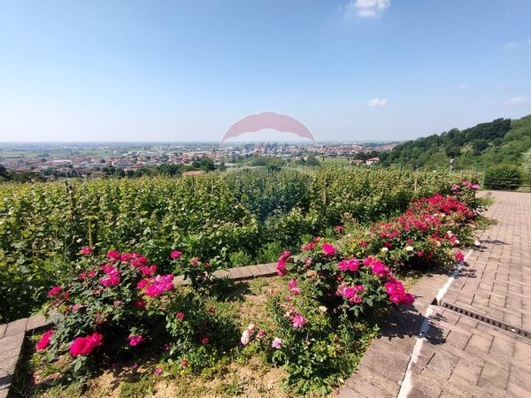 Azienda Agricola Tagliuno, Castelli Calepio, BG Vendita - Foto 4