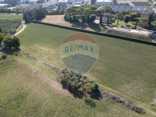 Nuove costruzioni Jesi, AN Vendita - Foto 4