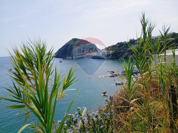 Appartamento Sant'Angelo, Serrara Fontana, NA Vendita - Foto 4