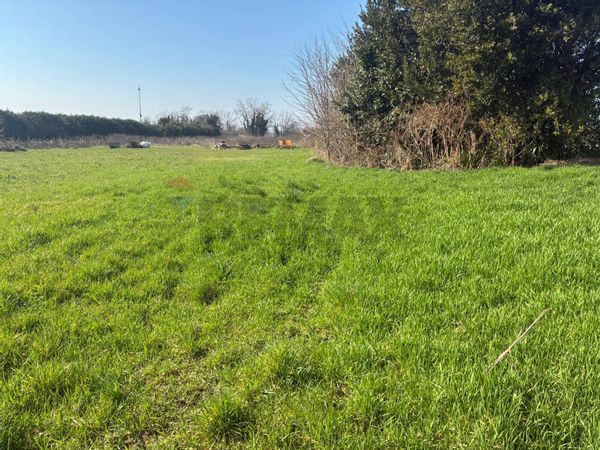 Terreno Edificabile Pasian di Prato, UD Vendita