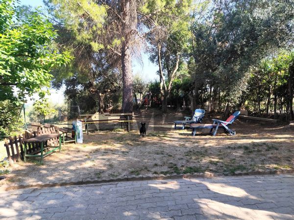 Casa Indipendente Ferretti, Collecorvino, PE Vendita - Foto 3