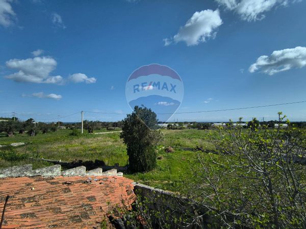 Cascina/Casale Monopoli, BA Vendita - Foto 3