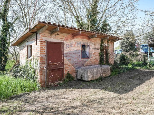 Cascina/Casale Voghiera, FE Vendita - Foto 4