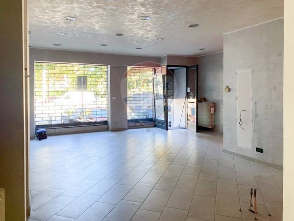 Negozio Rivoli, TO Affitto