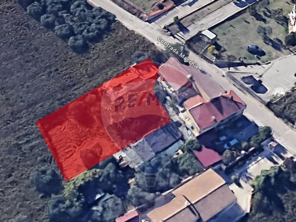 Rustico Tollo, CH Vendita - Foto 4