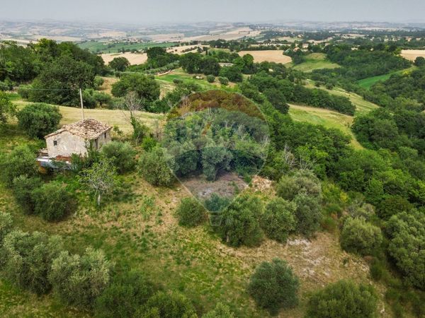 Rustico Avenale, Cingoli, MC Vendita - Foto 3