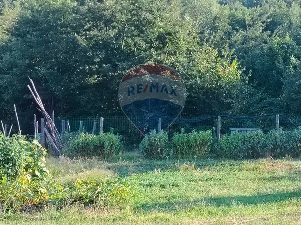 Terreno Edificabile Mioglia, SV Vendita - Foto 3