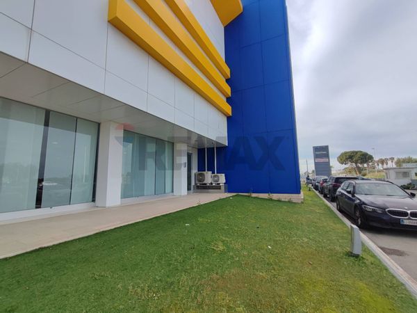 Commerciale Altro Barletta, BT Affitto