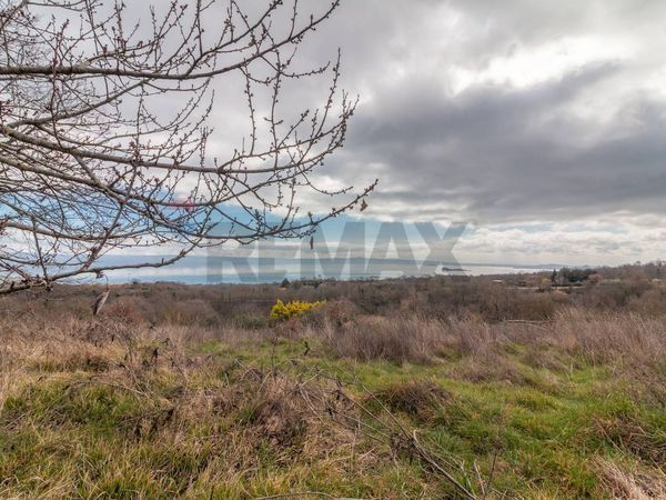 Terreno Gradoli, VT Vendita - Foto 4