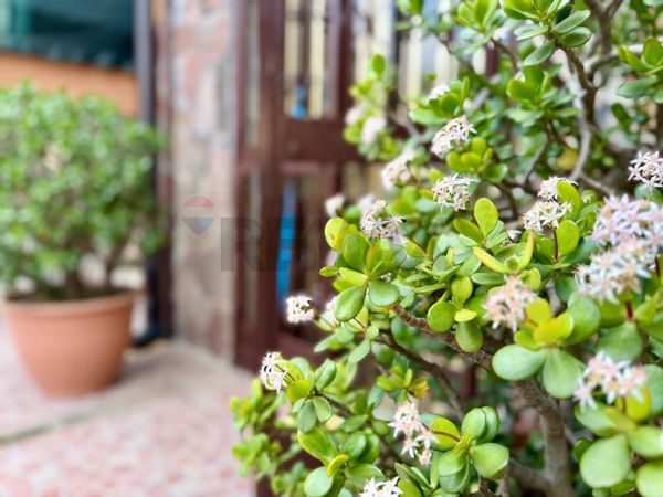 Attico/Mansarda Mugnano di Napoli, NA Affitto - Foto 3