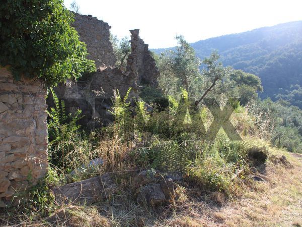 Rustico Vitolini, Vinci, FI Vendita - Foto 2