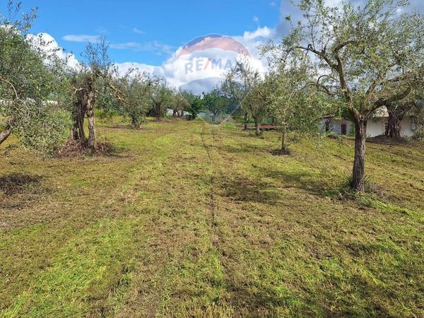 Villa o villino Castel Campagnano, CE Vendita