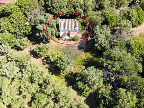 Cascina/Casale Teulada, SU Vendita - Foto 4