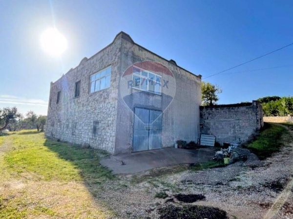 Villa singola Selva di Fasano, Fasano, BR Vendita - Foto 4