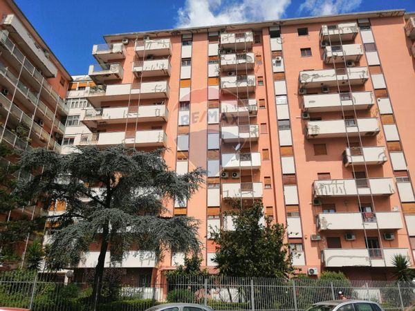 Appartamento Giotto, Palermo, PA Affitto