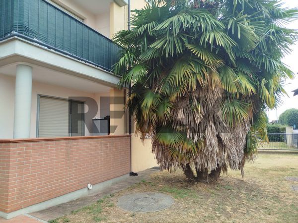 Appartamento Rosate, MI Affitto - Foto 2