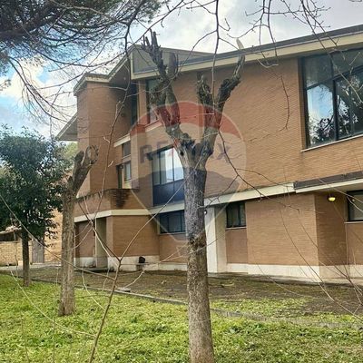 Stabile/Palazzo Casetta Mattei, Roma, RM Vendita - Foto 3