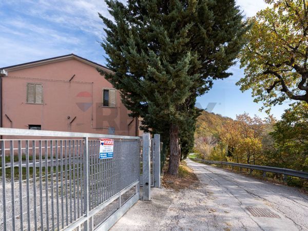 Casa Semindipendente Serra San Quirico, AN Vendita