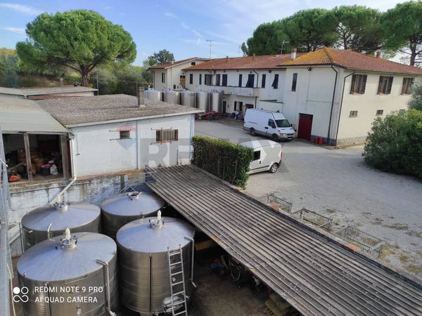Azienda Agricola Sant'Andrea, Empoli, FI Vendita