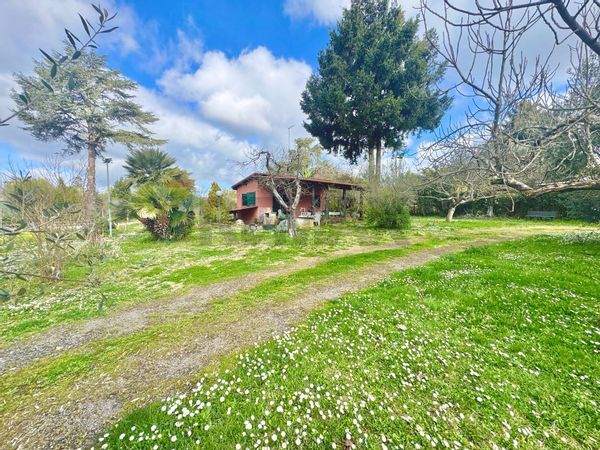 Cascina/Casale Manziana, RM Vendita - Foto 2