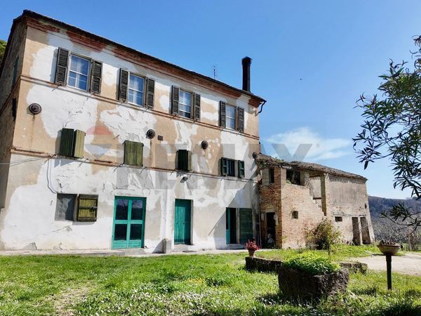 Cascina/Casale Casine di Paterno, Ancona, AN Vendita - Foto 4